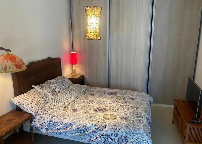 Appartement Rdc 35m2 Plein Centre