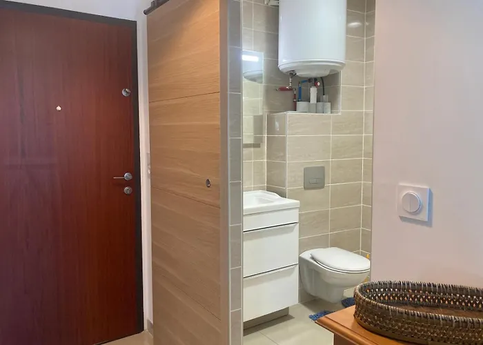 Appartement Rdc 35m2 Plein Centre *